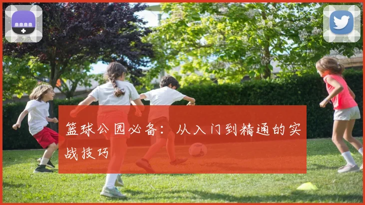 篮球公园必备:从入门到精通的实战技巧